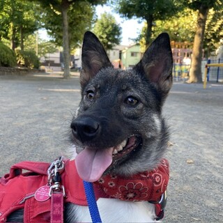 「いろり」女の子