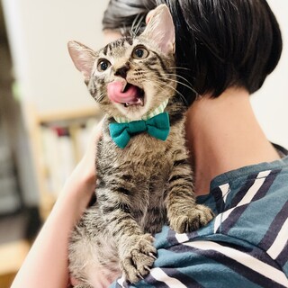 くりくりおめ目が可愛いやんちゃ坊や！！【守口市】