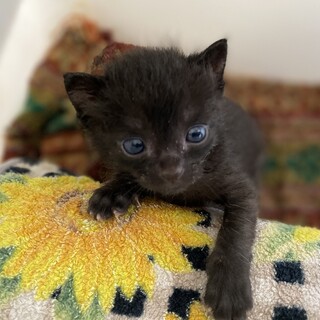 決まりました。ありがとうございました。