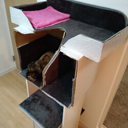 「新居にて」サムネイル3