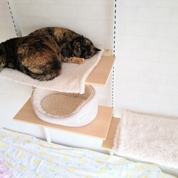 「新居にて②」サムネイル2