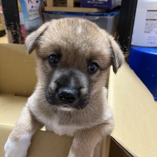 ミルクから育ててきましたナイン君