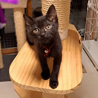 ハンデあり。頑張って元気になりました！