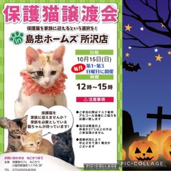 10月15日（日）島忠ホームズ所沢店譲渡会！
