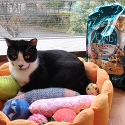 ごはんありがとうのこうた君