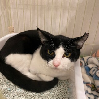 〝くるみちゃん〟です♪