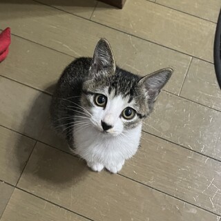 人が大好き甘えん坊な男の子