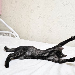 ☆カッコ可愛い女子☆