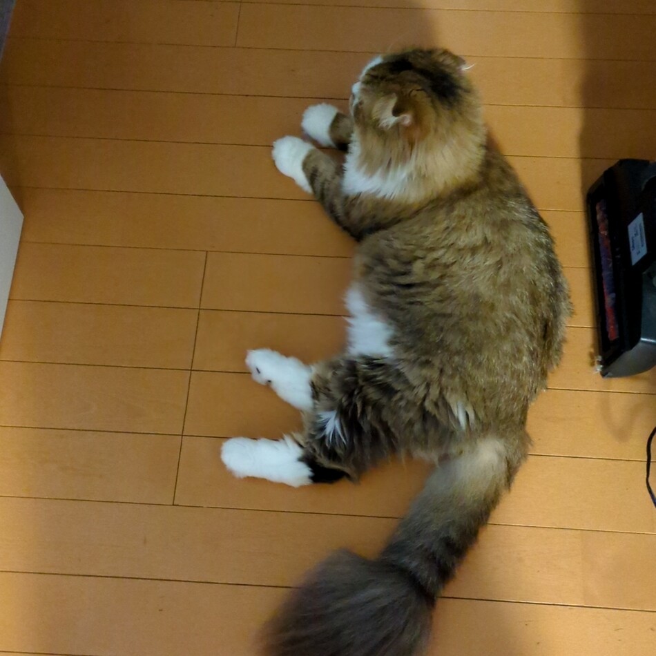 プリンのカバー写真