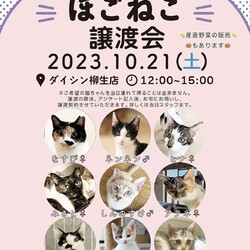 ほごねこ譲渡会〜愛すべき野良猫の会〜