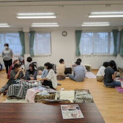 ねこらいく譲渡会/八事 高照寺