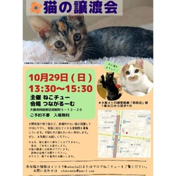 ねこチュー第20回猫の譲渡会