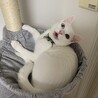 の写真