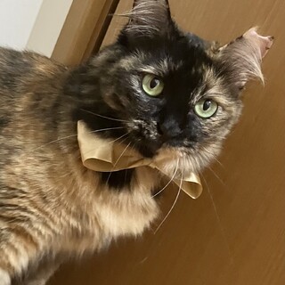 添い寝してくれる甘えん坊な女の子