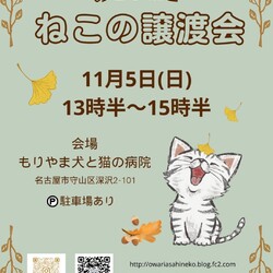11月5日【ねこの譲渡会】in守山