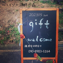 gift  犬猫譲渡会