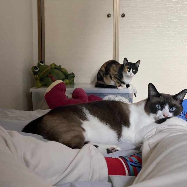 Beazのカバー写真