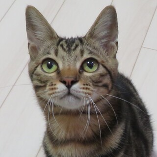 超甘えん坊☆こじろう君