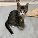 素敵なご家族と出会えました