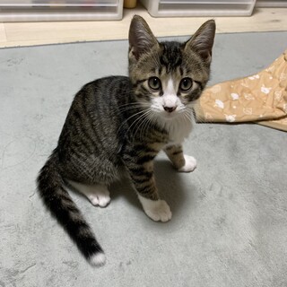 素敵なご家族と出会えました