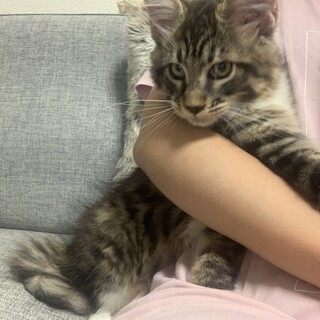 一旦ストップさせて頂きました。