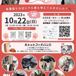 君と猫の赤い糸譲渡会