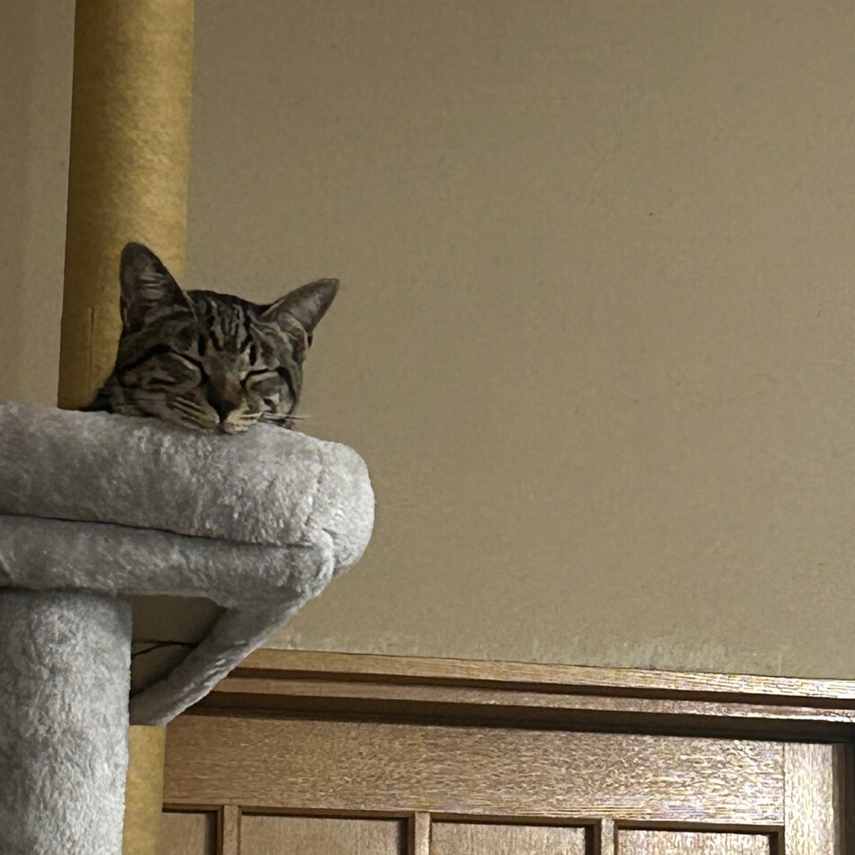 バムのカバー写真