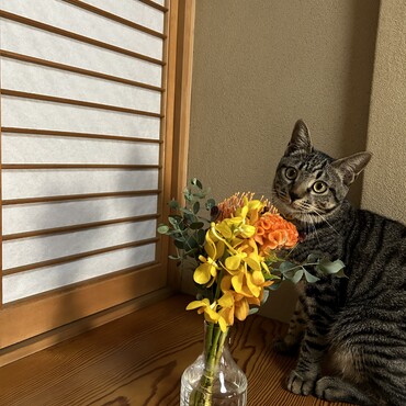 玄関の飾り棚がお気に入り