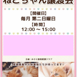 ねこちゃん譲渡会