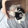 移動中