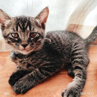 募集停止人懐こい男子⭐️つむぐ