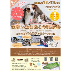 安満遺跡公園　保護犬猫うさぎ譲渡会