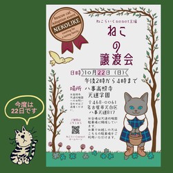 ねこの譲渡会