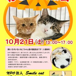 ★１０月２１日（土）「ねこの譲渡会」NPO法人Smile cat（室内）