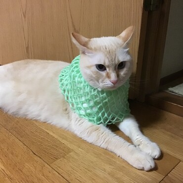 ななちゃん、久しぶり！ママのお側で笑顔担当、よろしくね！