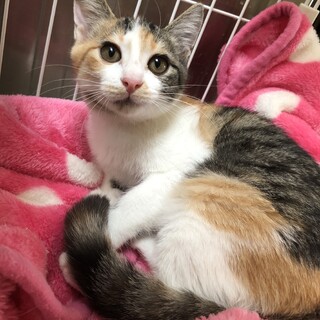 安子、実はすごい甘えんたちゃんです！
