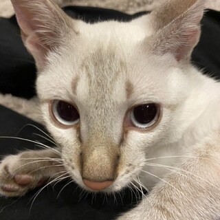 千ちゃんは甘えん坊さんです！