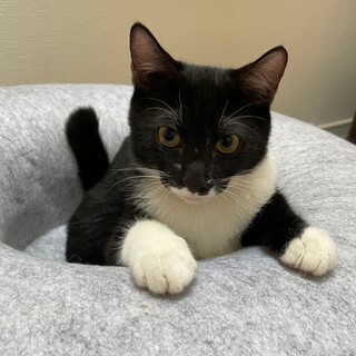 甘えたボーイ　ターちゃん　