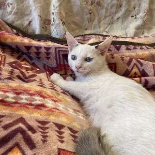 5月生まれの男の子