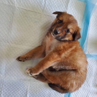 ありがとうございました！