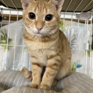 やんちゃで元気なじゅんちゃん