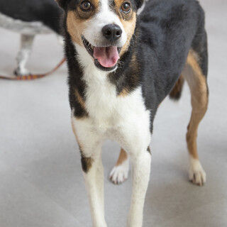 あわてんぼうさんなおきくん★５歳♂
