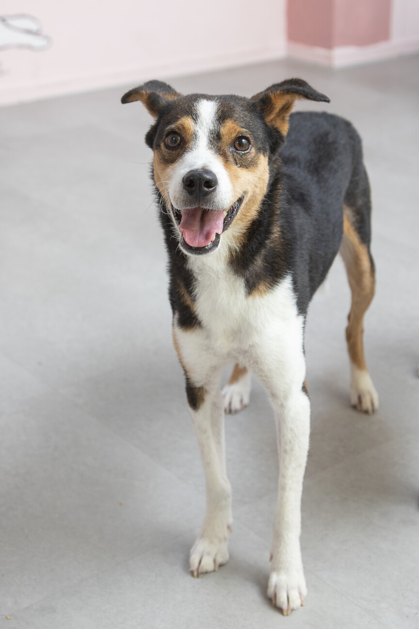 あわてんぼうさんなおきくん★５歳♂ サムネイル2