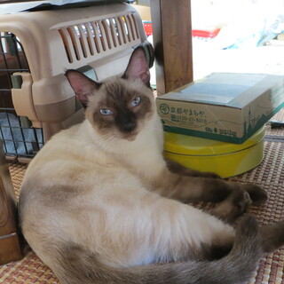 有難うございます。^-^