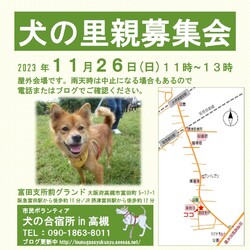 『犬の合宿所in高槻』の里親募集会