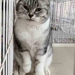 C22-W1121 ★ボッテリ顔がキュート★