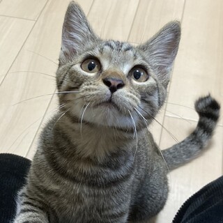 U食欲旺盛☆ふう君