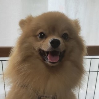 愛嬌たっぷり♪明るくて人懐っこい男の子♡