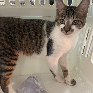 素敵なご縁がありました優しい女の子