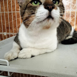 緊急募集★人と一緒が大好きなしょうへい君